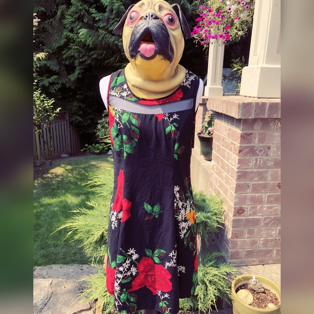 Babe alert, pretty, floral dress!!